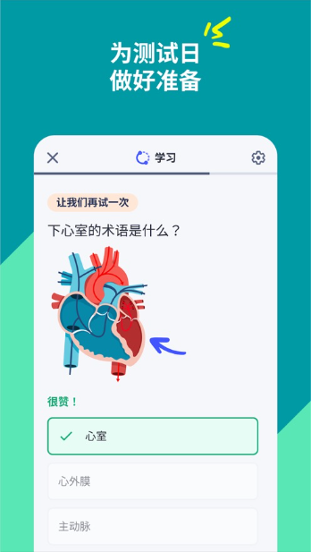 Quizletֻ°汾