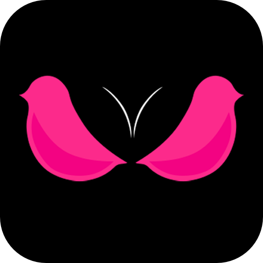 Լٷv19.1.3 ׿