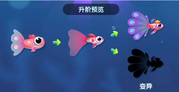 °汾