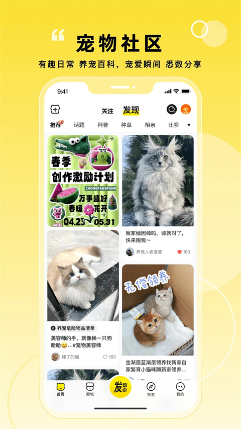 appذװv6.0.3 °
