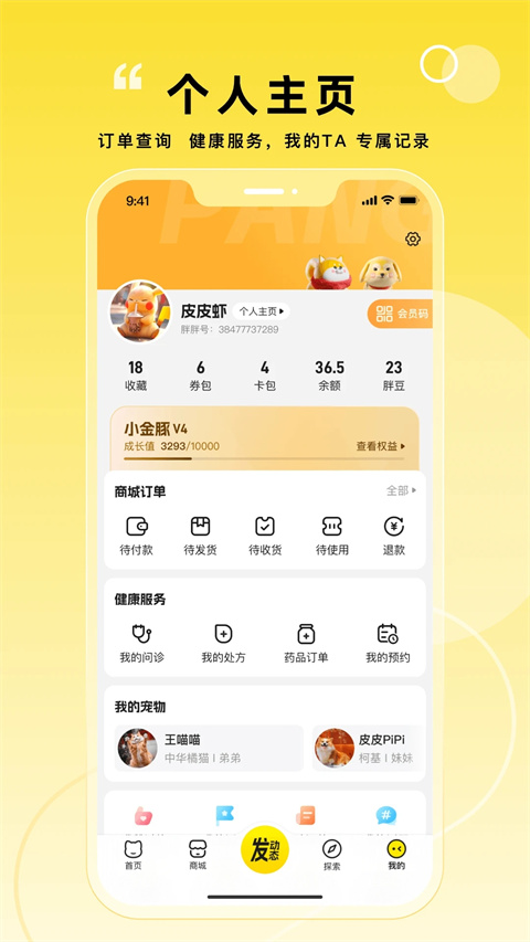 appذװv6.0.3 °