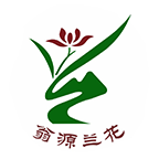 Դ°汾ذװv1.7.2 ٷ