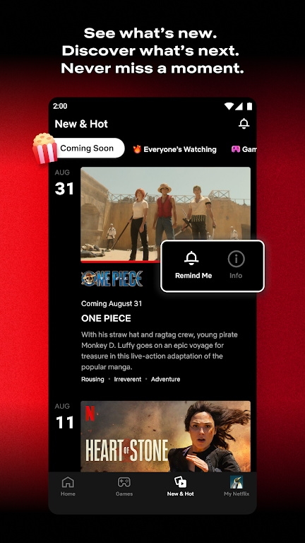 ηӰ°汾ذװNetflix