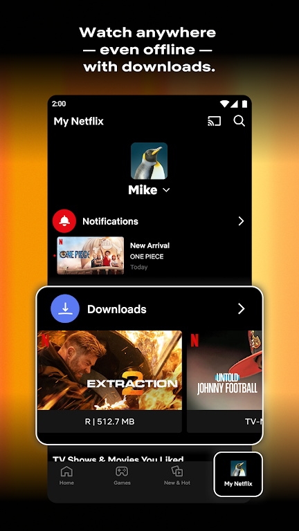ηӰ°汾ذװNetflix
