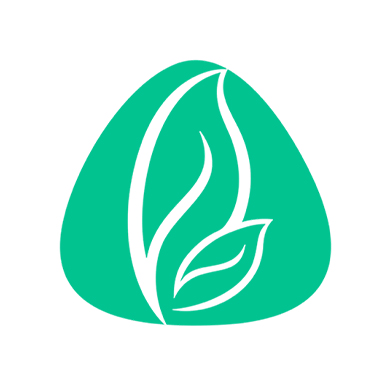 °汾ذװv4.3.2 ٷ